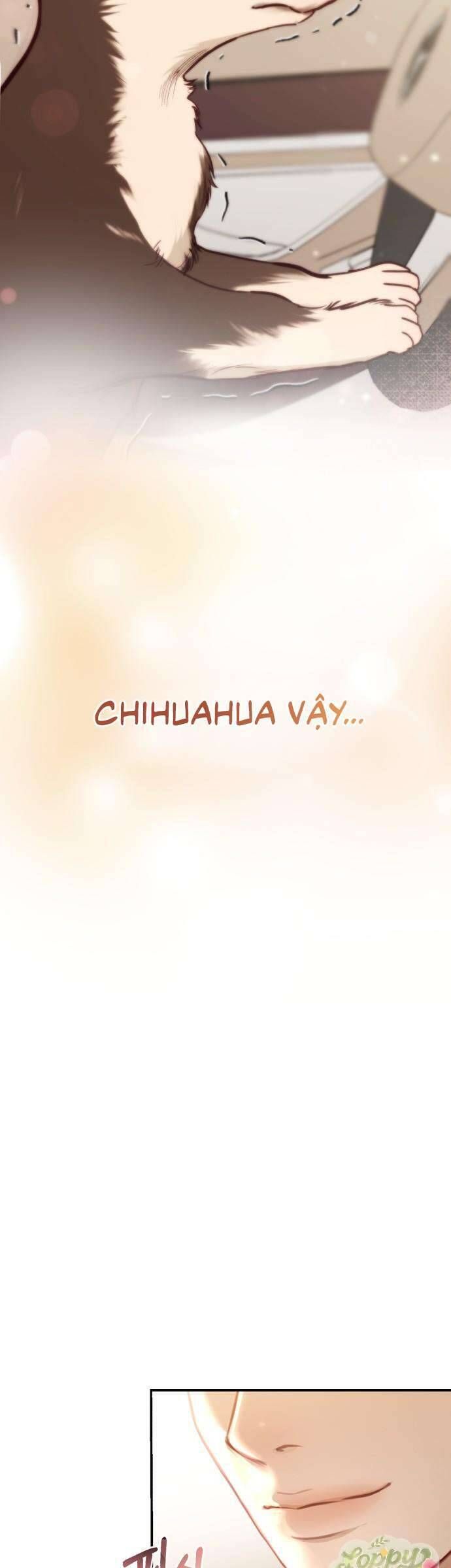 Quyền Lực Của Thư Ký Chương 2 - Trang 41