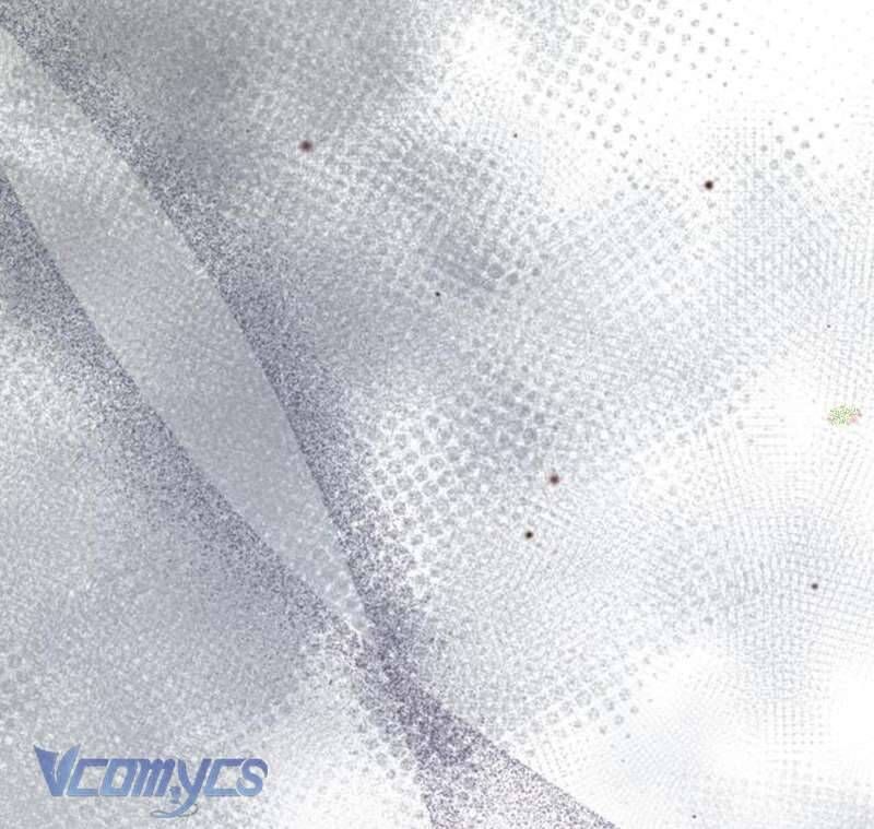 Quyền Lực Của Thư Ký Chương 20 - Trang 29