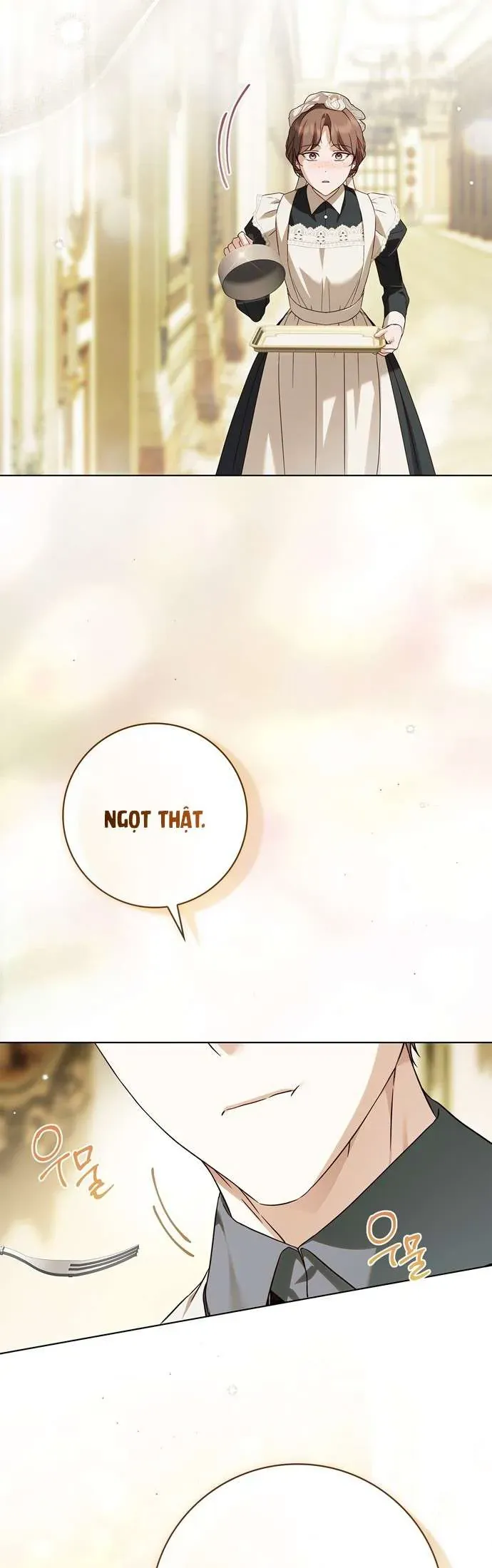 Hầu Nữ Bí Mật Của Bá Tước Chương 61 - Trang 37