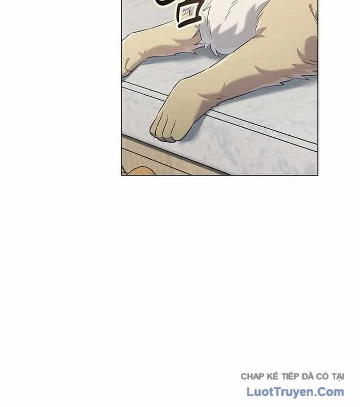 Ma Pháp Quân Chủ 37