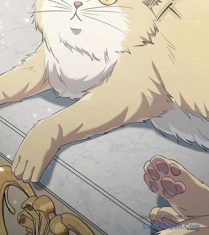 Ma Pháp Quân Chủ 37