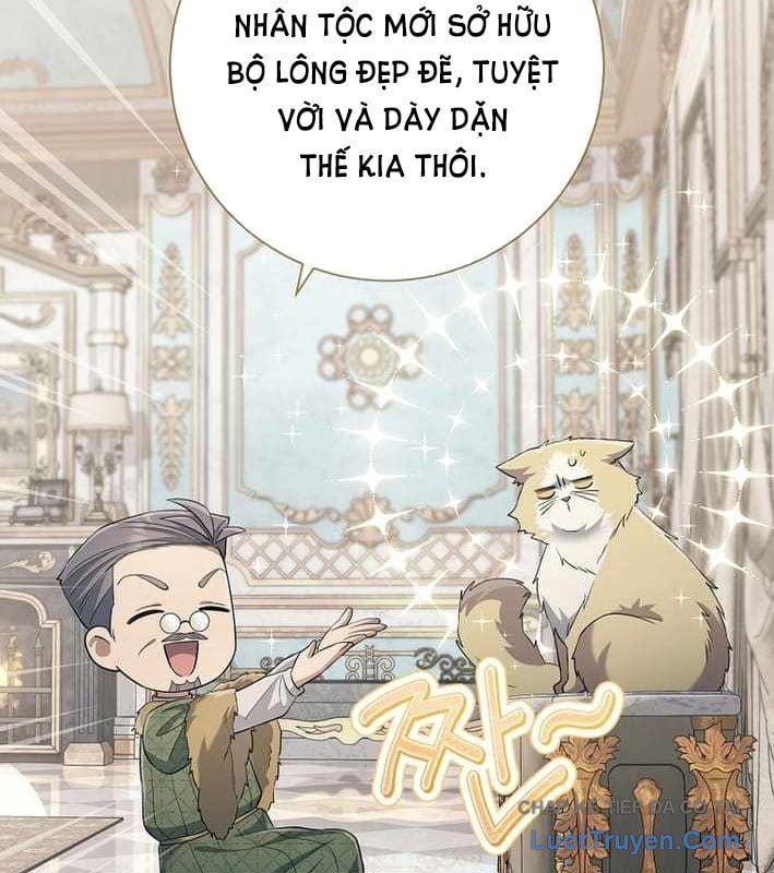 Ma Pháp Quân Chủ 37