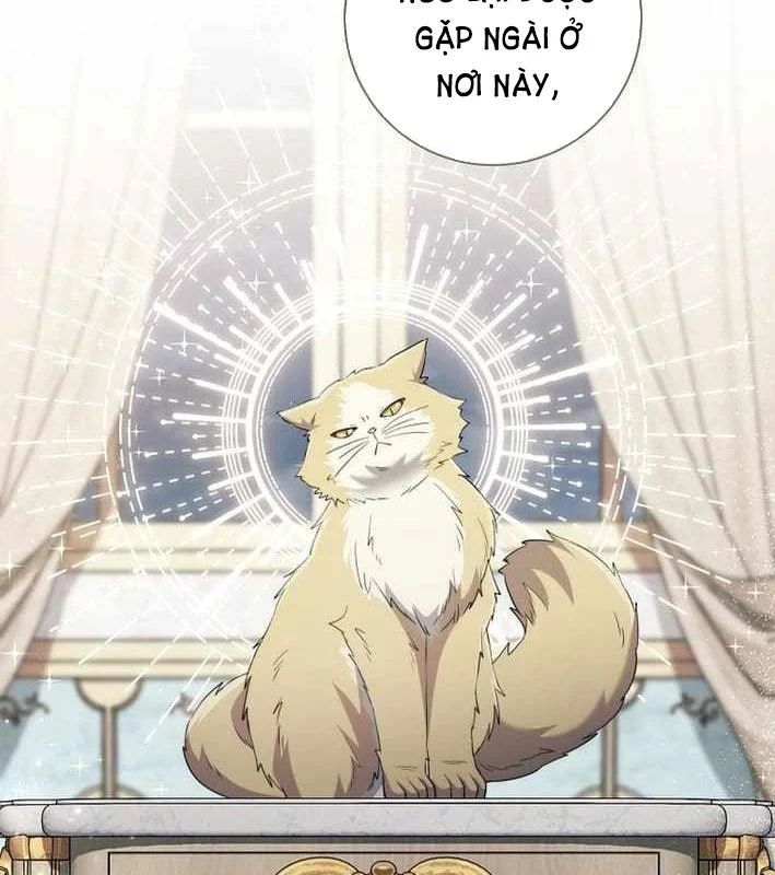 Ma Pháp Quân Chủ 37