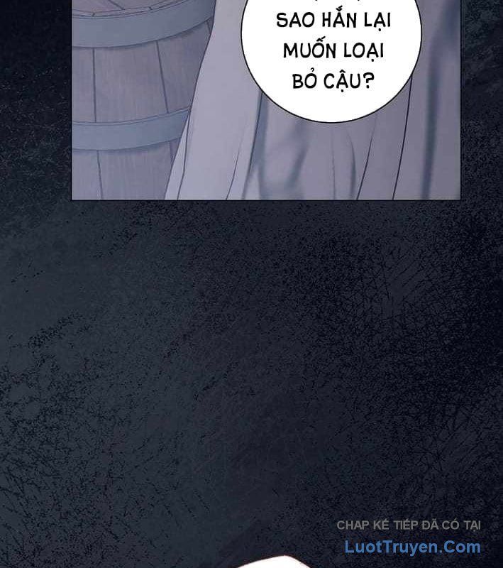 Ma Pháp Quân Chủ 37