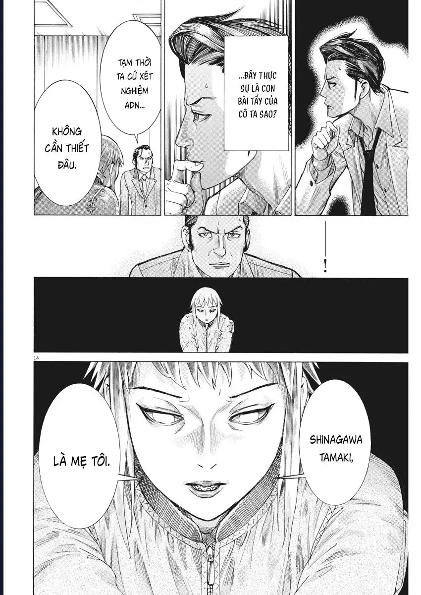 Đám Cưới Của Natsume Arata [Chap 45] - Page 13