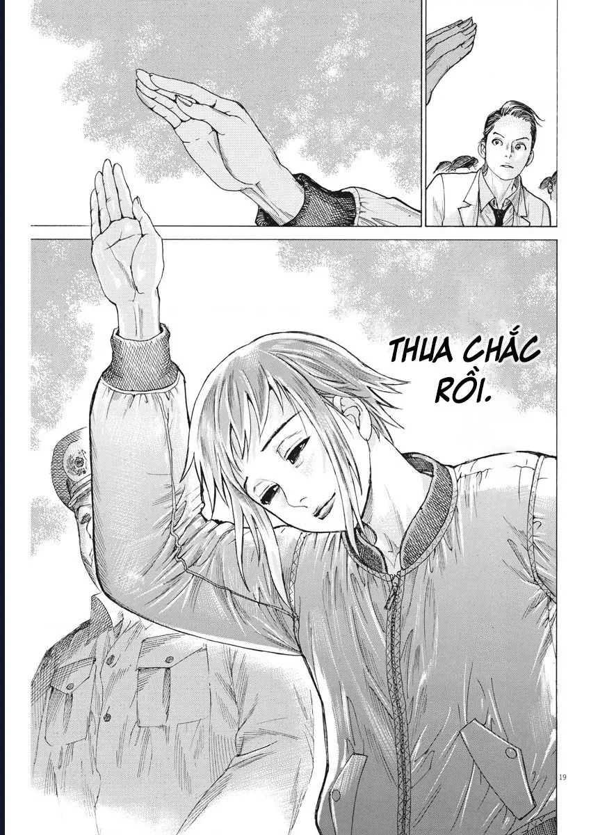 Đám Cưới Của Natsume Arata [Chap 45] - Page 18