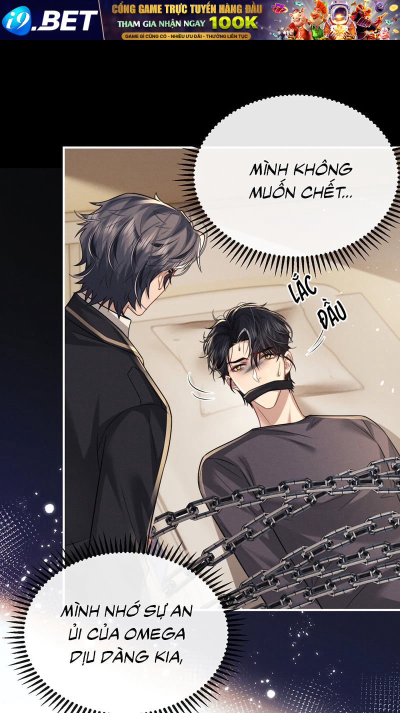 Chấp Sự Thỏ Cụp Tai Chương 186 - Trang 24