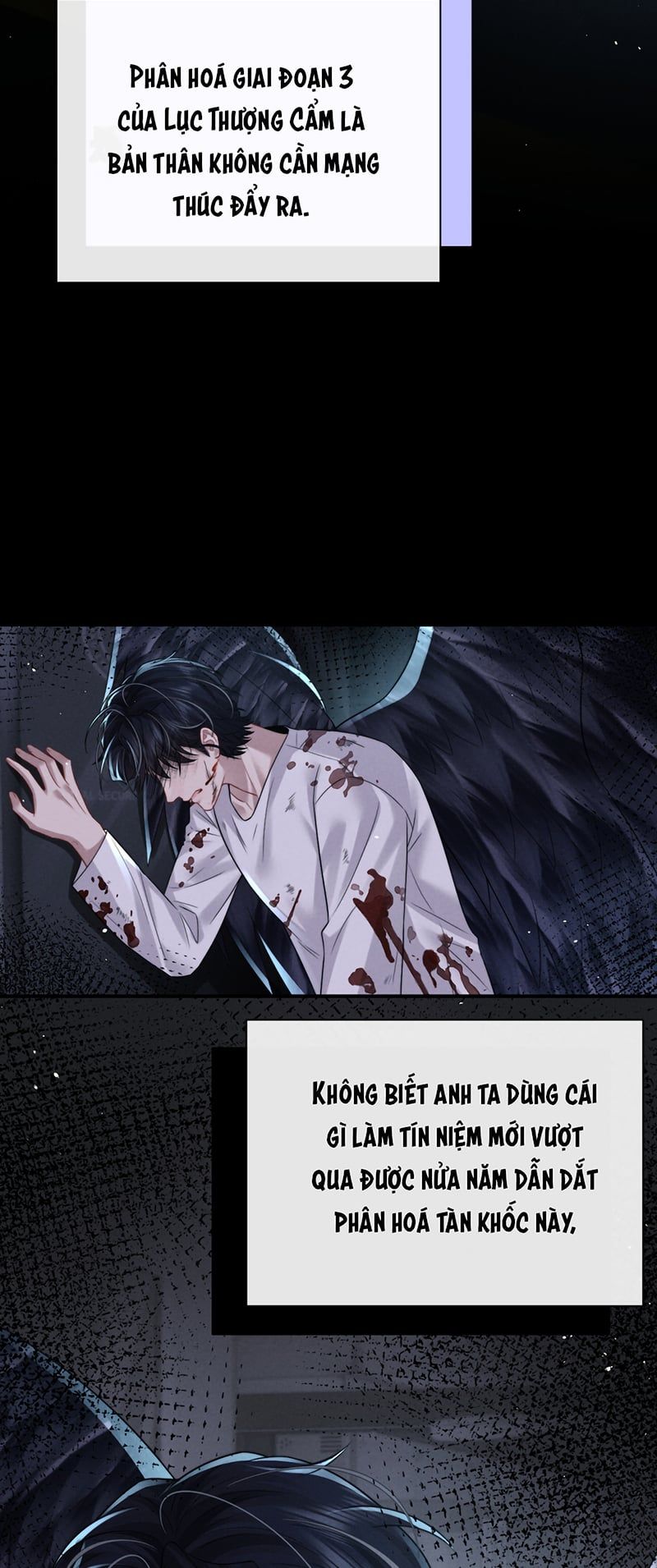 Chấp Sự Thỏ Cụp Tai Chương 187 - Trang 13