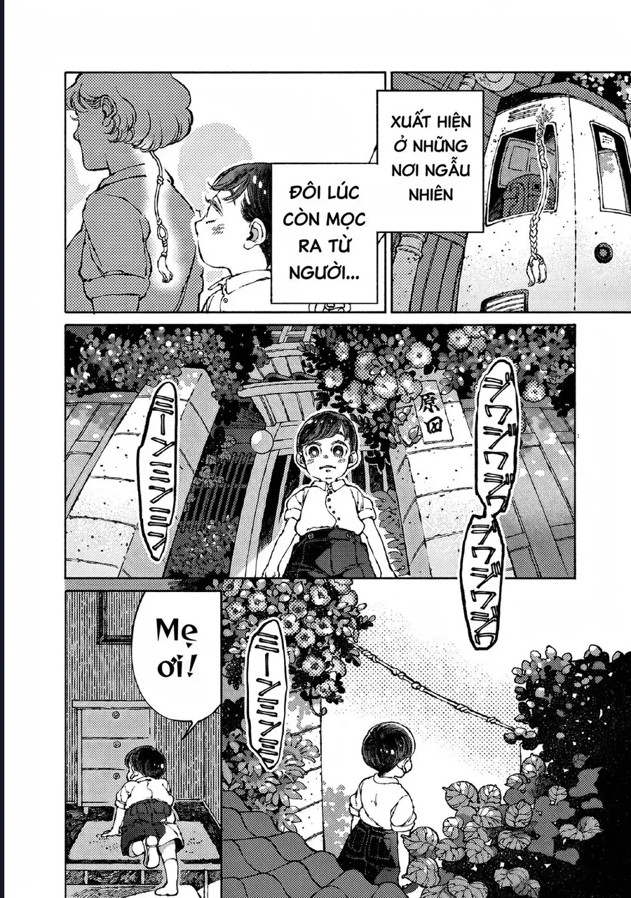 Bách Quái Sự Nơi Nhà Bên Chương 7 - Trang 8