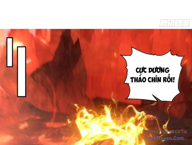 Nữ Phụ Tu Tiên Từ Chối Kịch Bản Pháo Hôi Chương 29 - Trang 45