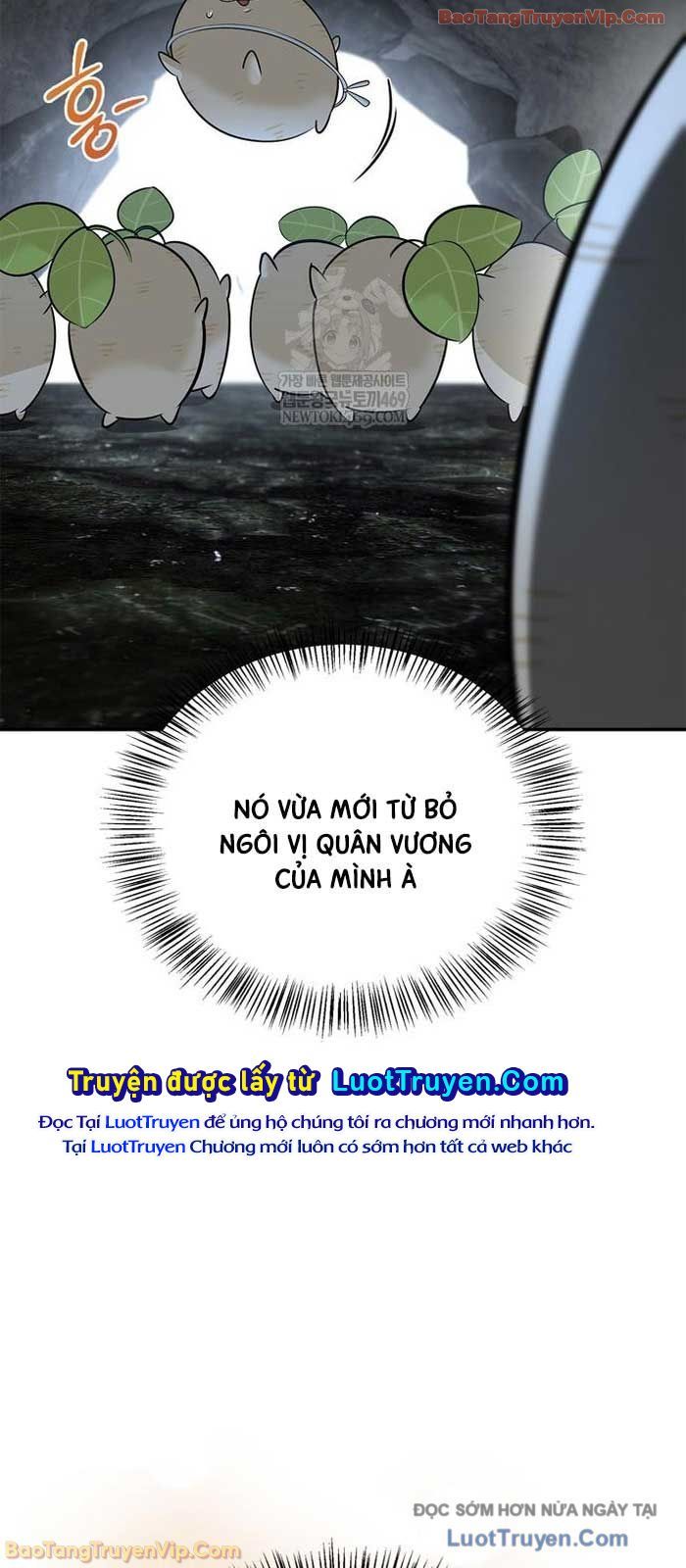 Healer Cấp S Chữa Trị Cho Quái Vật Chương 27 - Trang 76