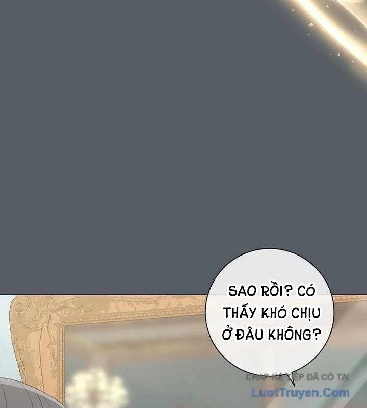 Ma Pháp Quân Chủ 38