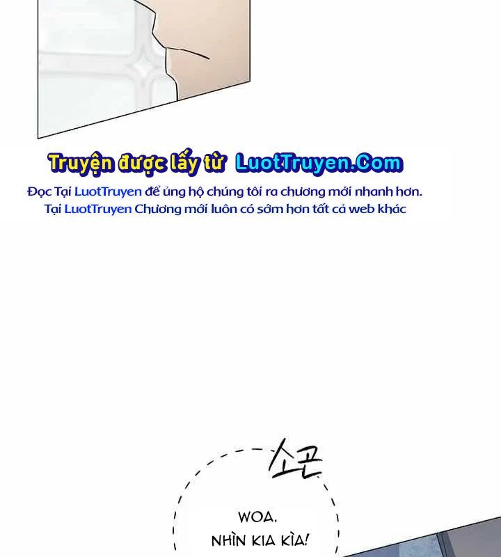 Ma Pháp Quân Chủ 40