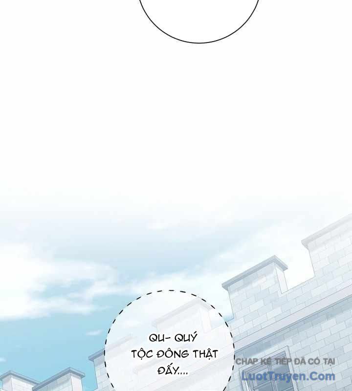 Ma Pháp Quân Chủ 40