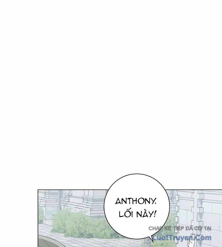 Ma Pháp Quân Chủ 40