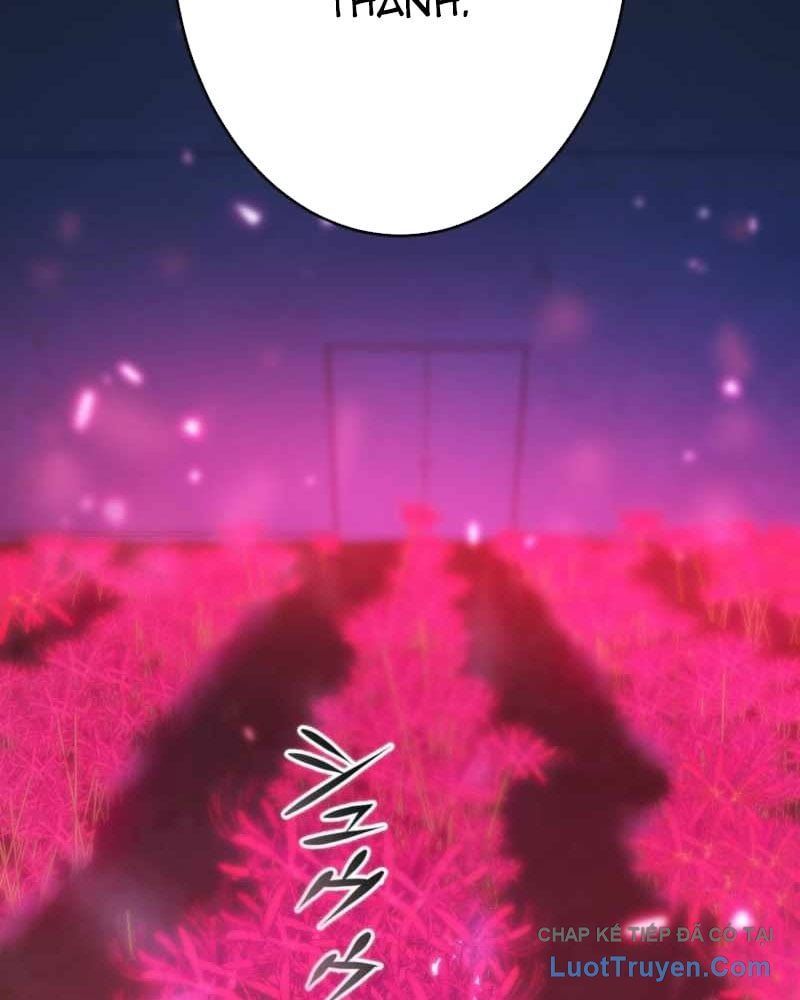 Kẻ Vượt Trội Từ Địa Giới Vô Địch Tại Trường Học 20