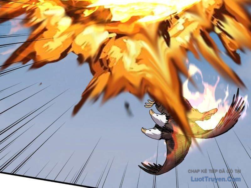 Bắt Đầu Chuyển Chức Tài Thần Ta Chuyển Hóa Triệu Vạn Thần Sủng [Chap 59]