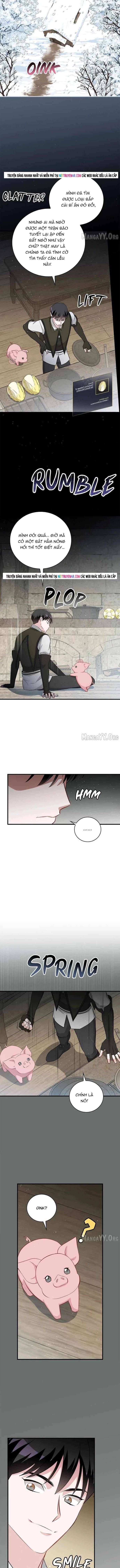 Level Up Chỉ Bằng Cách Ăn Cơm [Chap 201-205] - Page 6