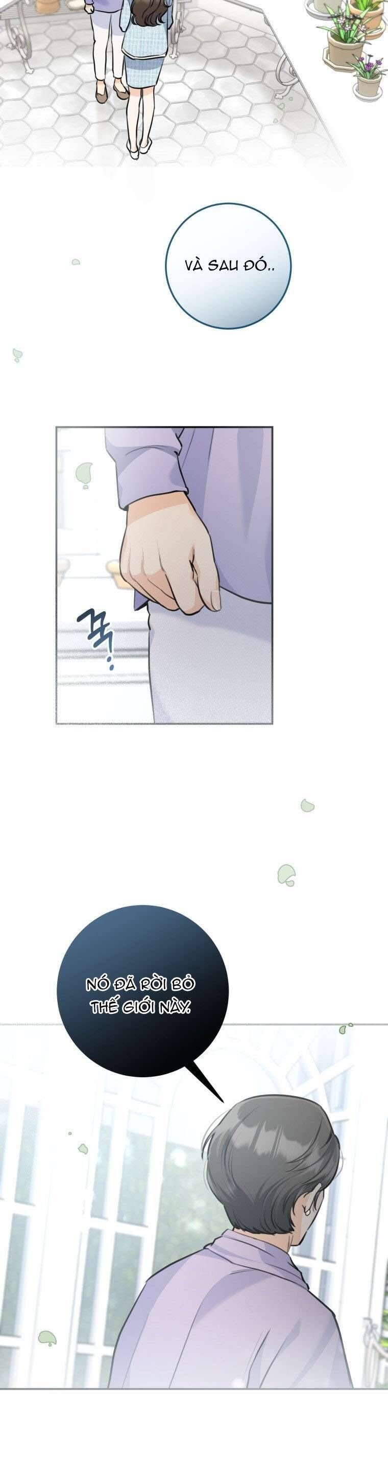 Chuyện Kết Hôn Chương 31 - Trang 28