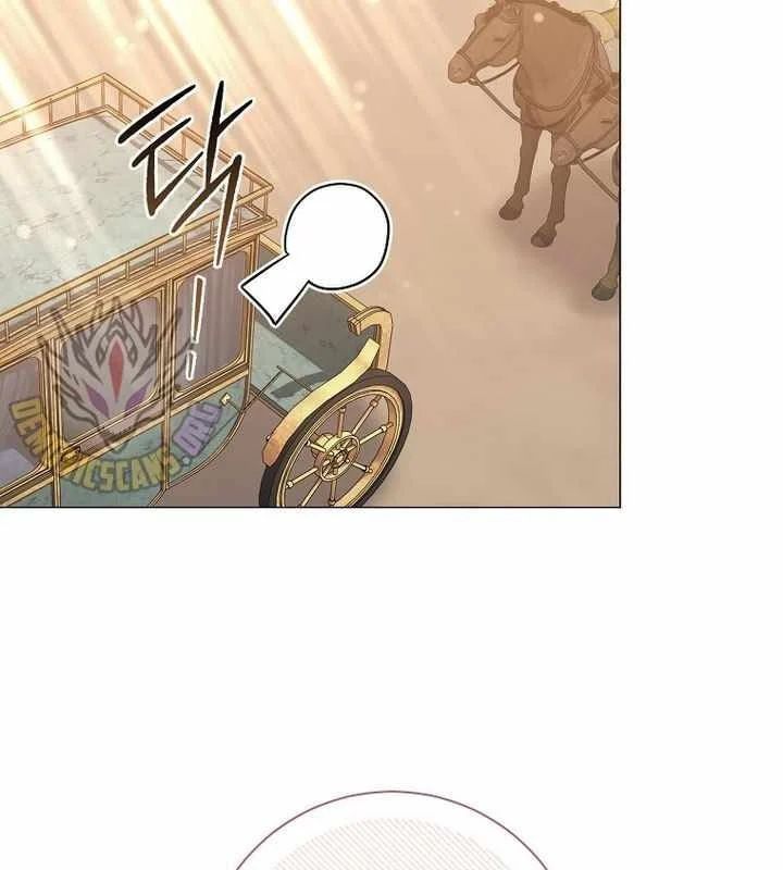 Ma Pháp Quân Chủ 43