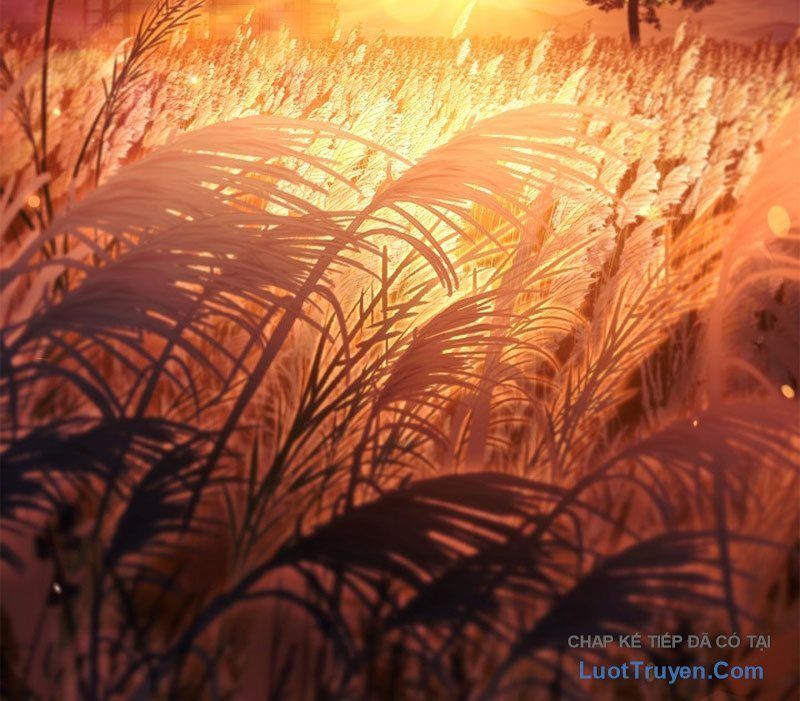 Kí Sự Hồi Quy 168