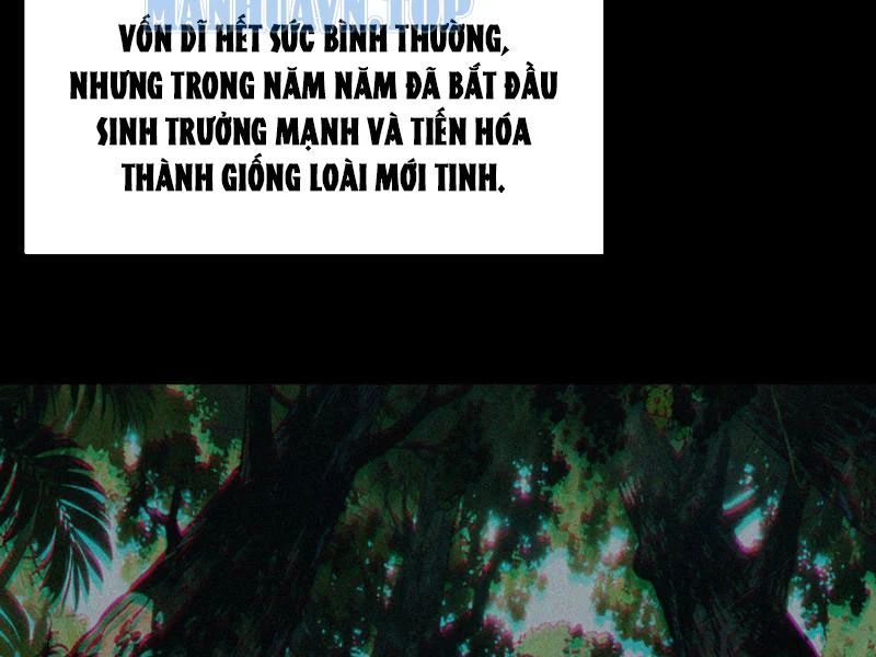 Sau Khi Chia Tay Hoa Khôi, Võ Đạo Của Ta Thẳng Tới Cấp Thần 47