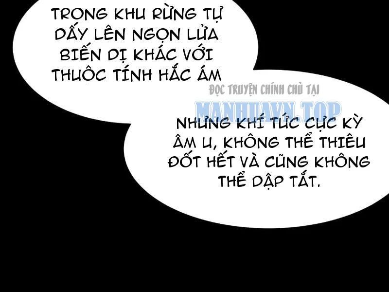 Sau Khi Chia Tay Hoa Khôi, Võ Đạo Của Ta Thẳng Tới Cấp Thần 47