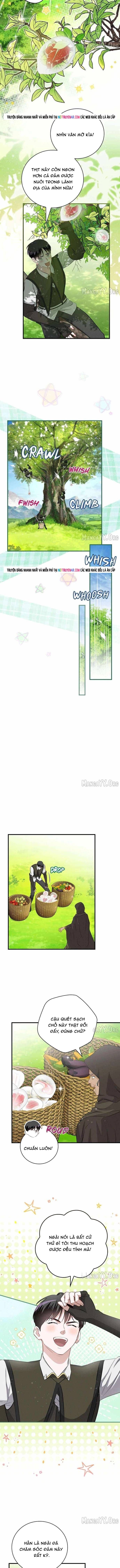 Level Up Chỉ Bằng Cách Ăn Cơm [Chap 206-208] - Page 10