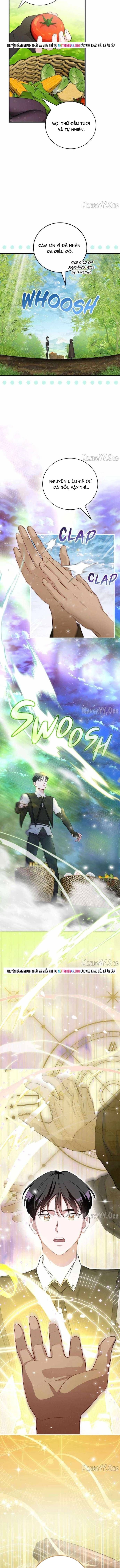 Level Up Chỉ Bằng Cách Ăn Cơm [Chap 206-208] - Page 11