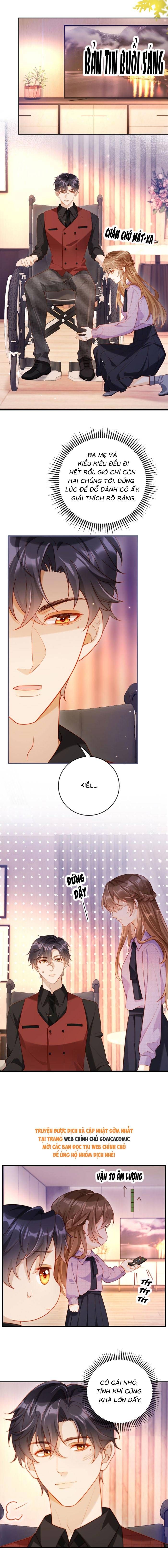 Nụ Hôn Xung Hỉ: Đại Lão Thực Vật Sống Lại Rồi! 12