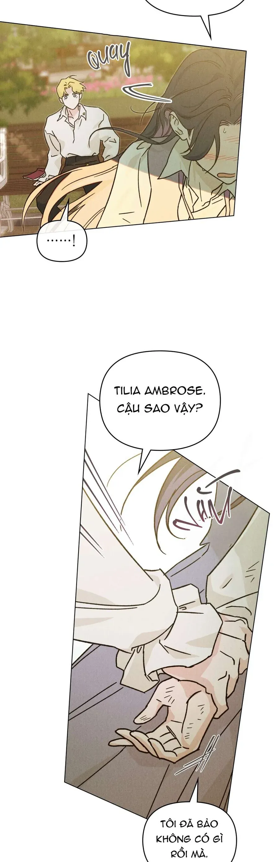 Hồ Điệp Nuốt Chửng Sương Mù 8