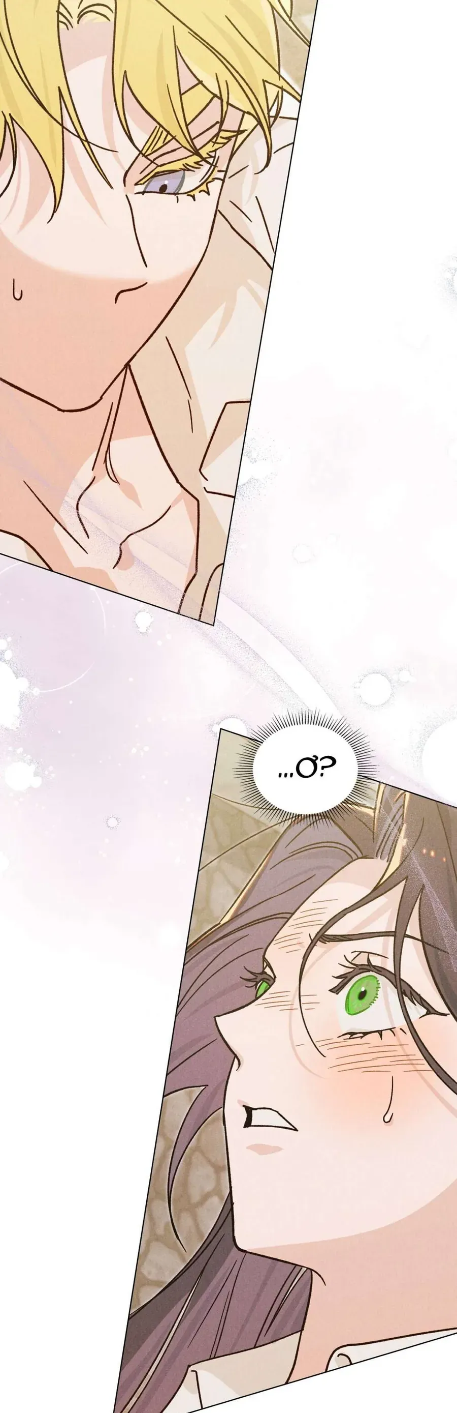 Hồ Điệp Nuốt Chửng Sương Mù 8