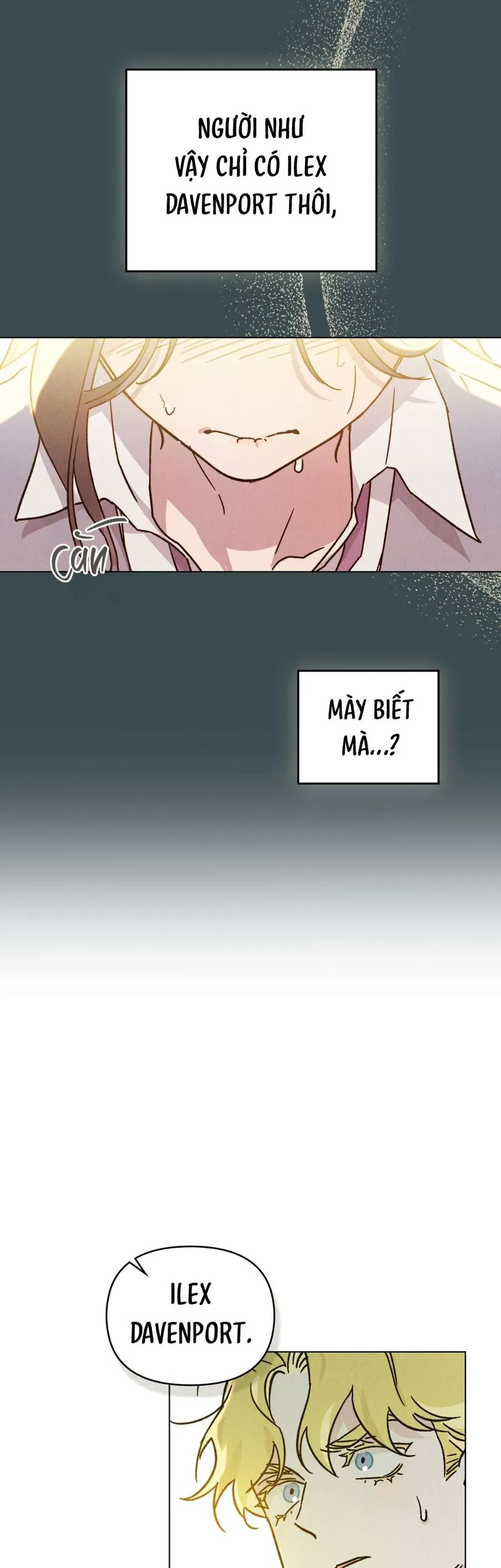 Hồ Điệp Nuốt Chửng Sương Mù 8