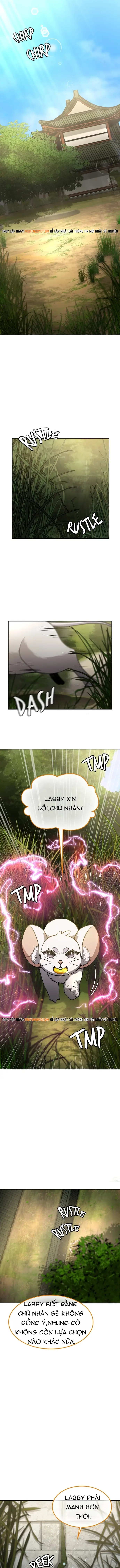 Chân Lý Tu Tiên Chương 36 - Trang 11