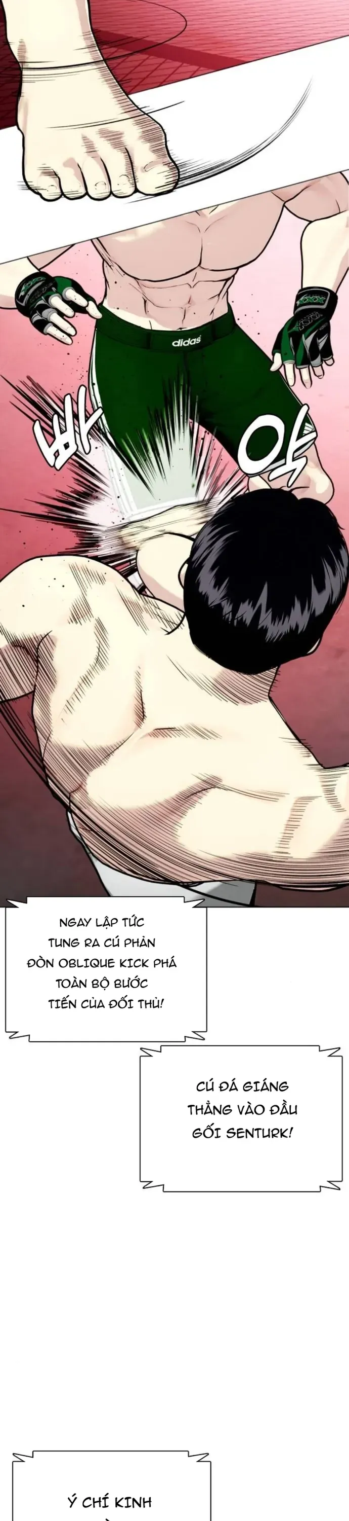 Loser Giỏi Võ 151