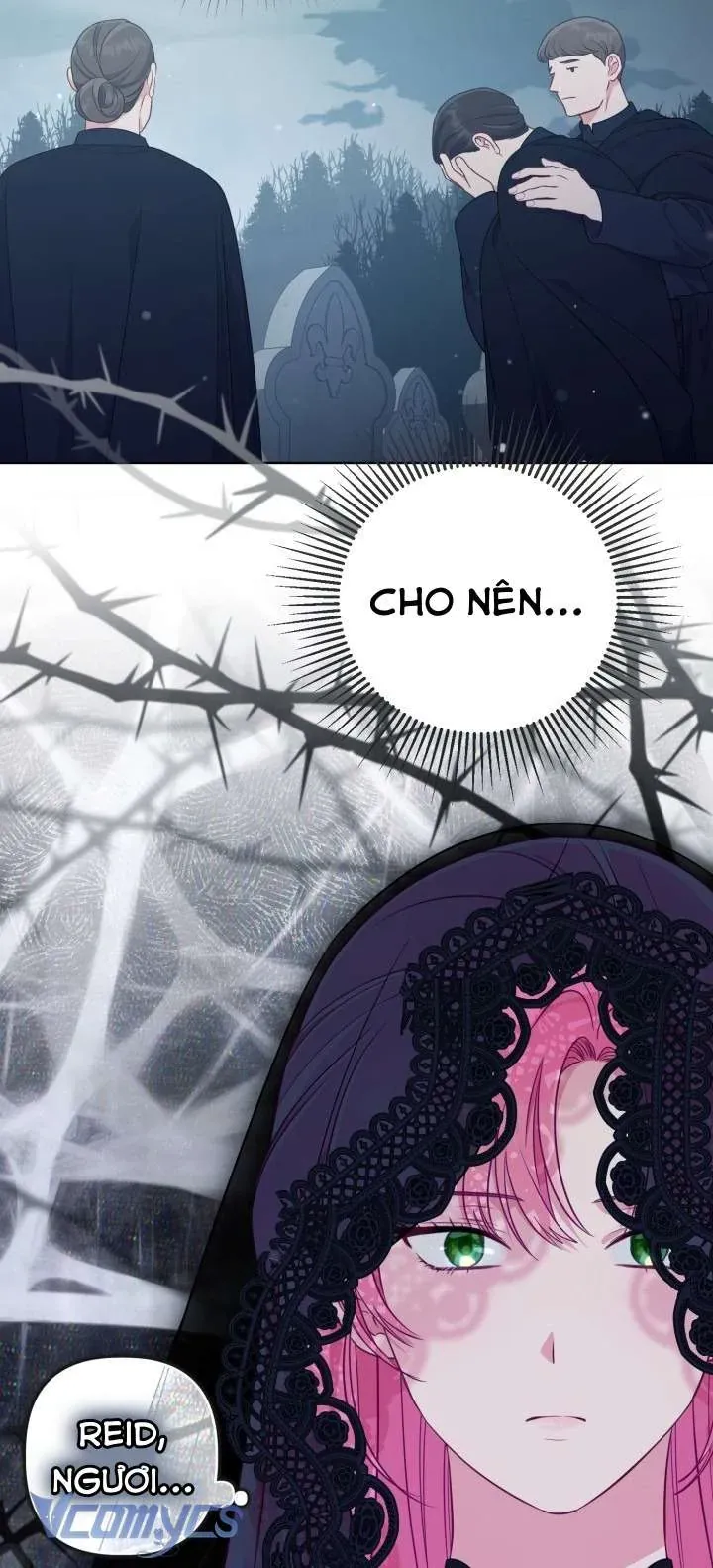 Sự Điều Trị Đặc Biệt Của Tinh Linh 114