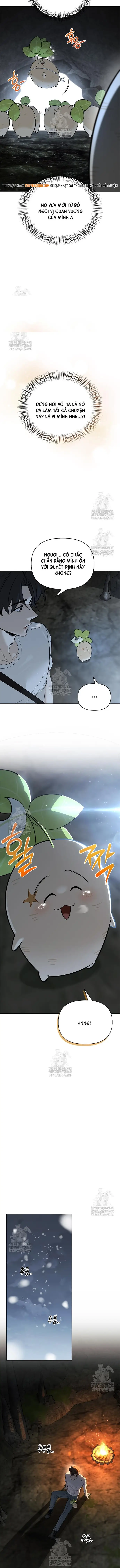 Nhật Ký Của Thợ Săn Hạng S Chương 27 - Trang 14