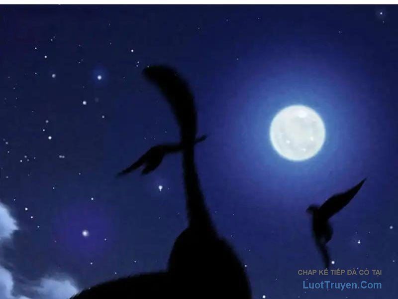 Đặc Chủng Trùng Sinh Về Thời Trung Học 26