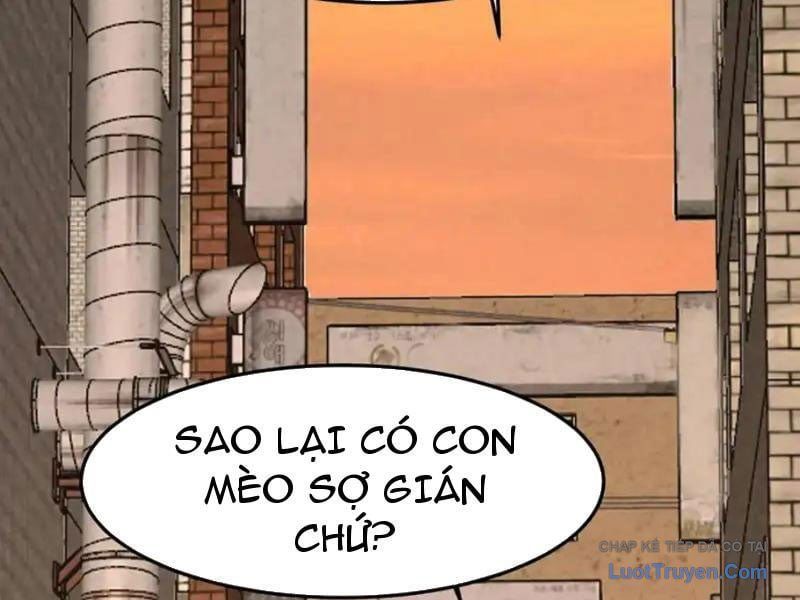 Đặc Chủng Trùng Sinh Về Thời Trung Học 26