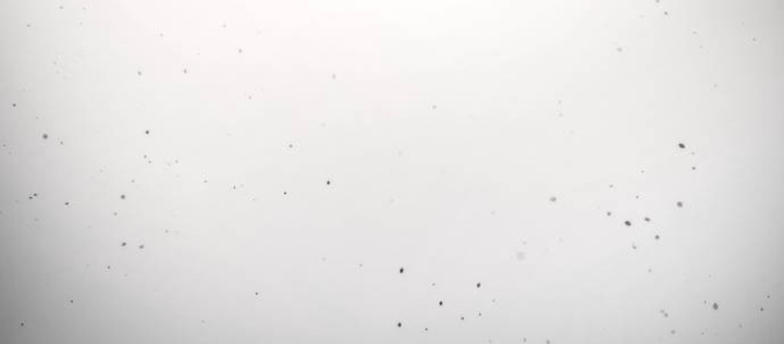 Sát Thủ Peter 102.1