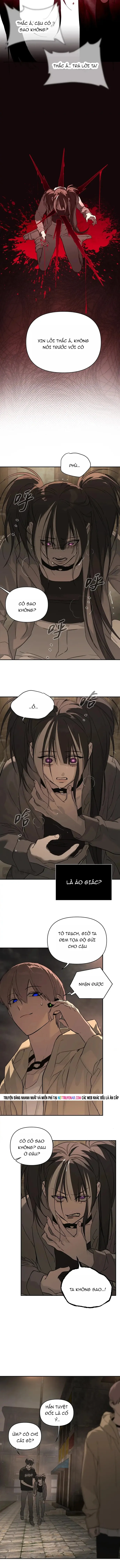 Ác Chi Hoàn Chương 75 - Trang 10