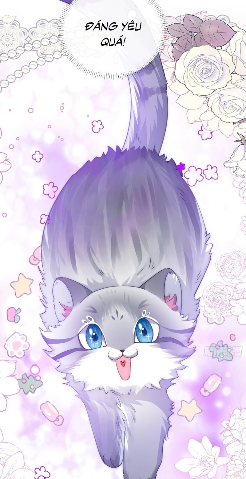 Cả Vũ Trụ Đều Muốn Thân Thiết Với Tôi Chap 11 - Next Chap 10