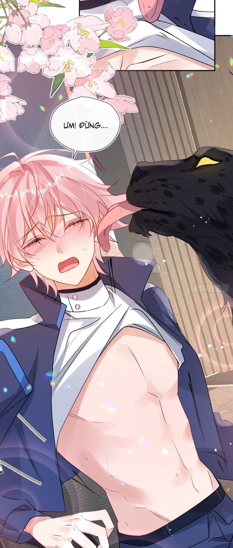 Cả Vũ Trụ Đều Muốn Thân Thiết Với Tôi Chap 4 - Next Chap 3