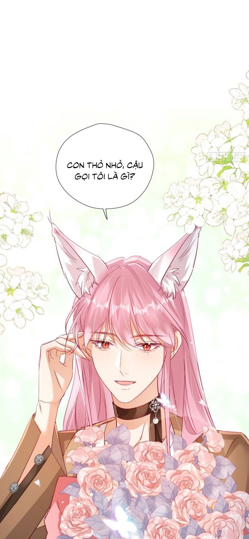 Cả Vũ Trụ Đều Muốn Thân Thiết Với Tôi Chap 7 - Next Chap 6