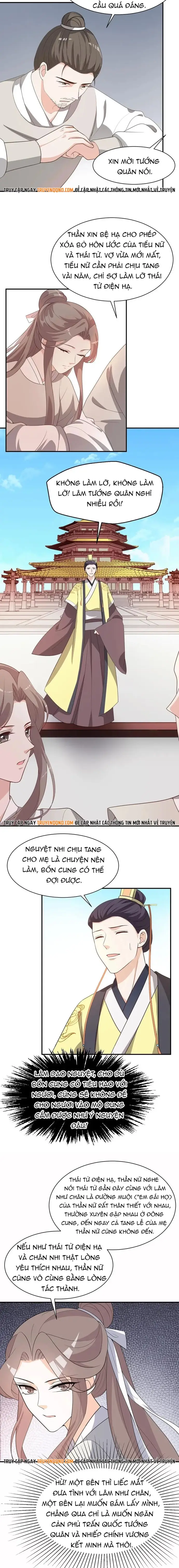 Trùng Sinh Chuyên Sủng Độc Phi Của Nhiếp Chính Vương - Trang 4