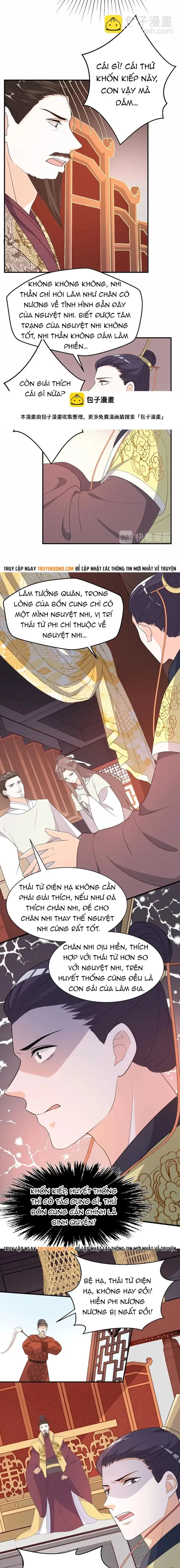 Trùng Sinh Chuyên Sủng Độc Phi Của Nhiếp Chính Vương - Trang 5