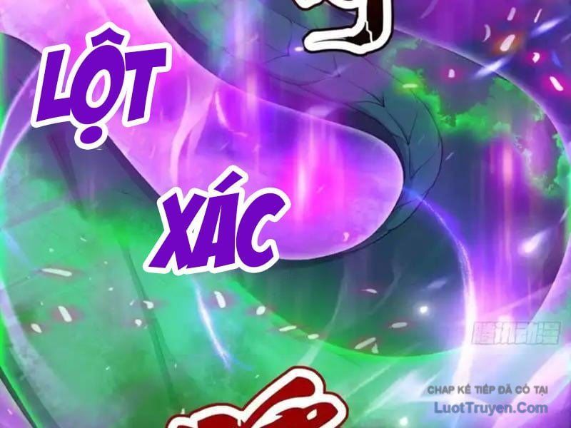 Thái Cổ Thập Hung: Người Khác Ngự Thú Ta Ngự Thú Nương - Trang 41