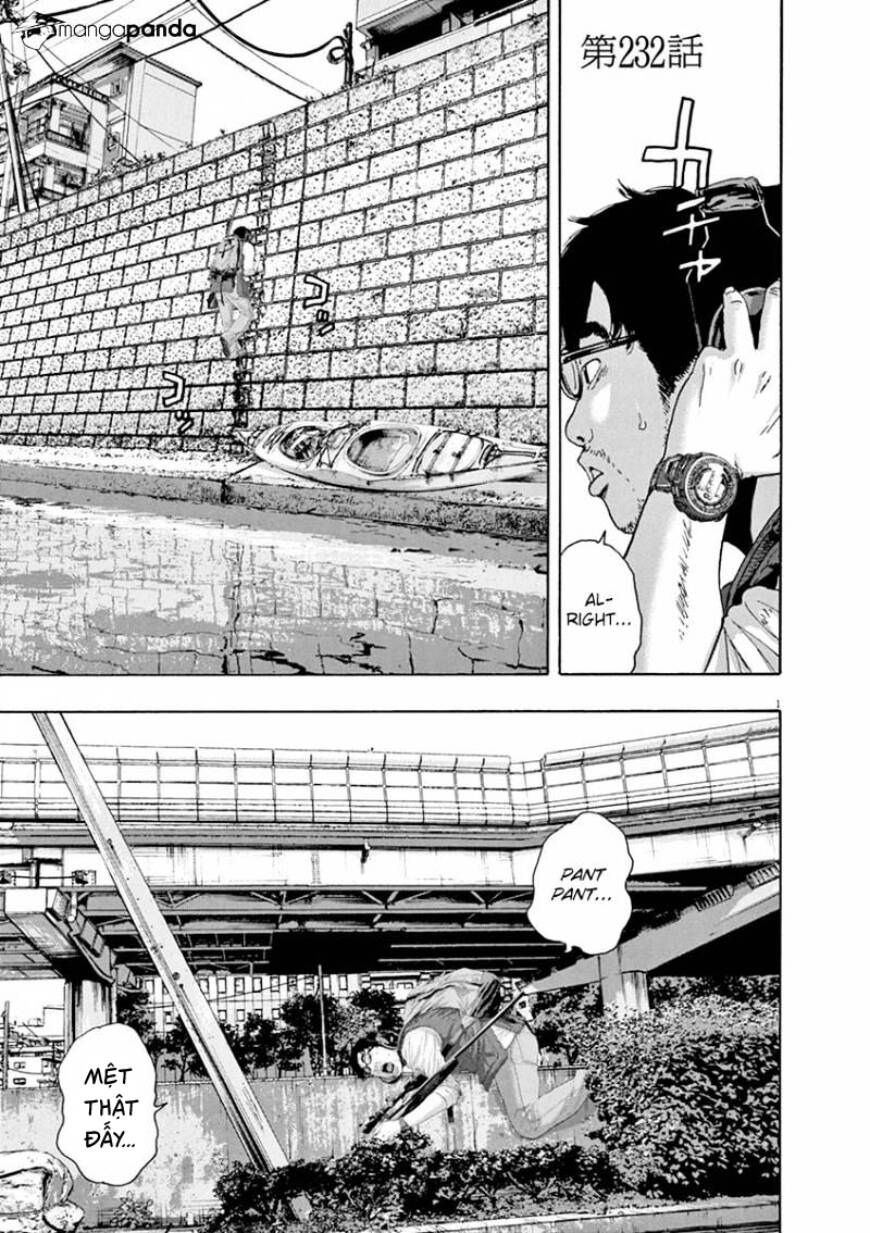 I Am A Hero Chap 232 - Next Chap 233