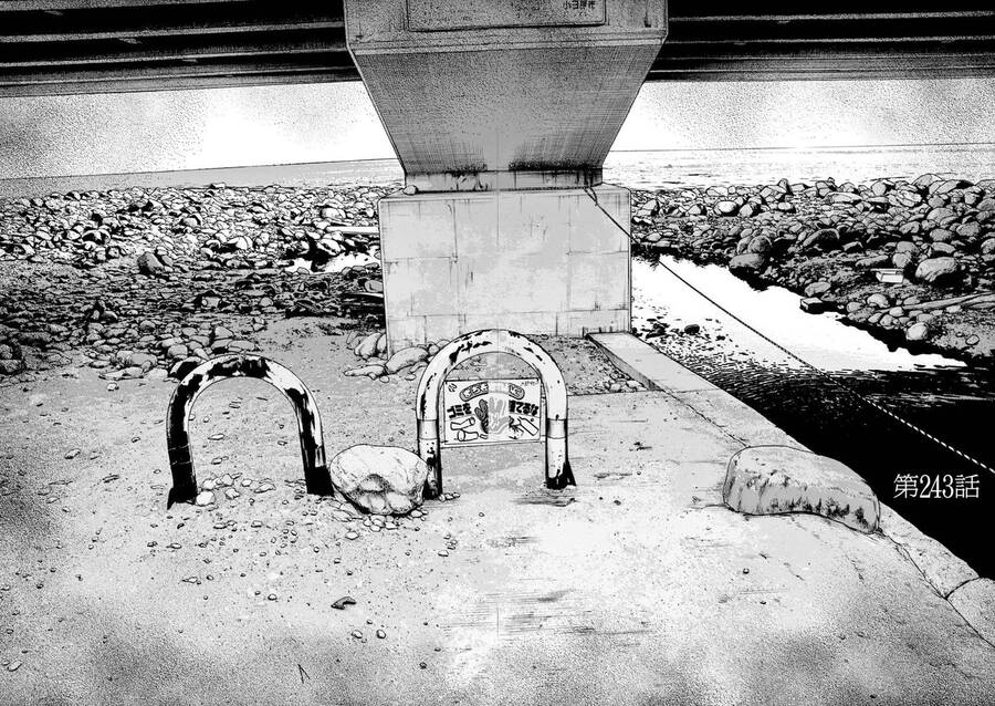 I Am A Hero Chap 243 - Next Chap 244