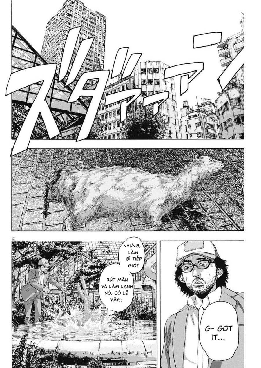 I Am A Hero Chap 263 - Next Chap 264